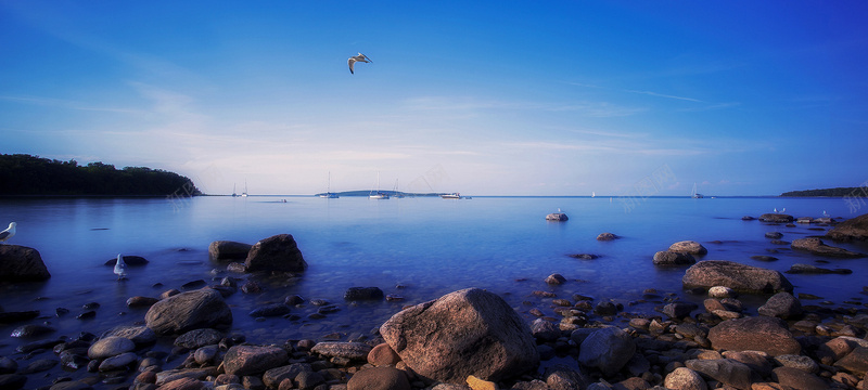 大海海鸥海报素材jpg设计背景_新图网 https://ixintu.com 淘宝海报 天猫海报 海报素材 男装 女装 活动背景 大海 海鸥 海报banner 摄影 风景