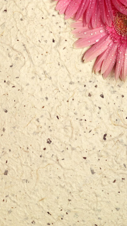 褶皱质感背景图粉红花瓣边框褶皱质感H5背景素材高清图片