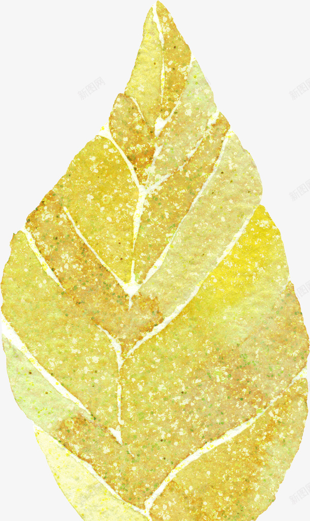 金色树叶png免抠素材_新图网 https://ixintu.com 叶子 手绘植物 植物