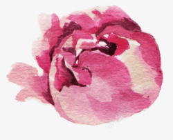 手绘水彩水墨花卉4素材