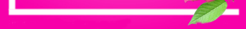 粉色玫瑰花边框背景jpg设计背景_新图网 https://ixintu.com 小清新 文艺 玫瑰花 简约 粉色 边框