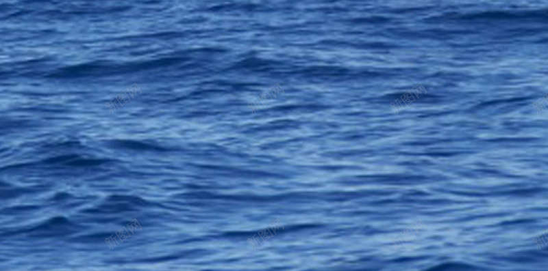 跃起的鲸鱼H5背景jpg设计背景_新图网 https://ixintu.com 商务 大气 海洋 科幻 科技 蓝天 鲸鱼