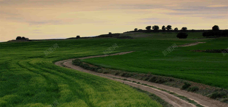 曲折蜿蜒的草地背景jpg设计背景_新图网 https://ixintu.com 摄影 风景 自然 草地 蜿蜒 海报banner