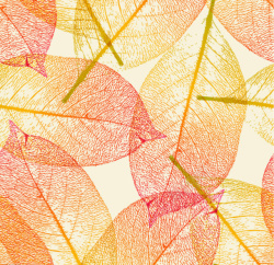秋叶树叶背景素材