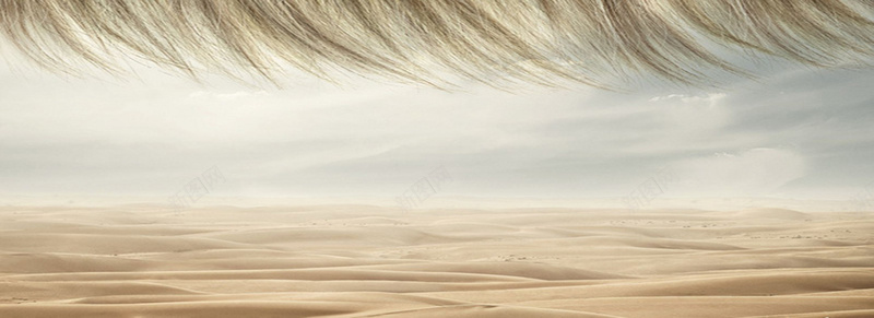 沙漠背景素材背景