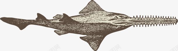 海洋动物手绘素描png免抠素材_新图网 https://ixintu.com 平面设计 手绘 海洋动物 素描 鱼