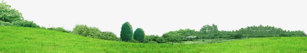 清新绿色野外草地装饰png免抠素材_新图网 https://ixintu.com 清新 绿色 草地 装饰 野外
