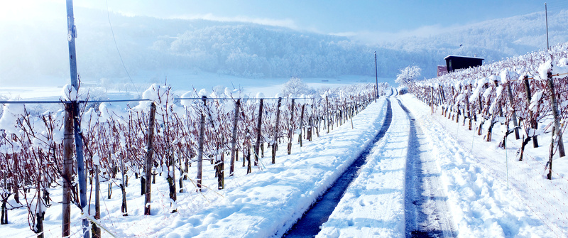 冬季雪地淘宝背景jpg设计背景_新图网 https://ixintu.com 冬季 雪地 公路 寒冷 海报banner 淘宝 摄影 风景