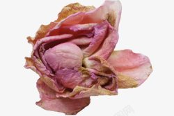 粉色玫瑰干花素材