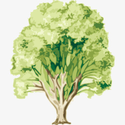 绿色树木绘图素材