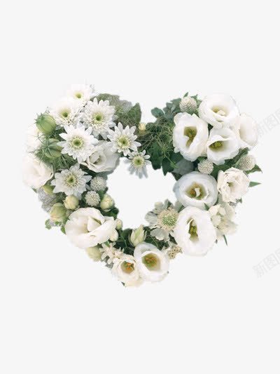 高雅的花朵png免抠素材_新图网 https://ixintu.com 图片 白色 素雅 花朵