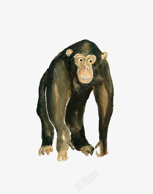 手绘大猩猩png免抠素材_新图网 https://ixintu.com 动物 卡通 手绘 猩猩