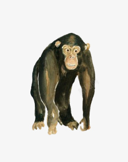 卡通猩猩手绘大猩猩高清图片
