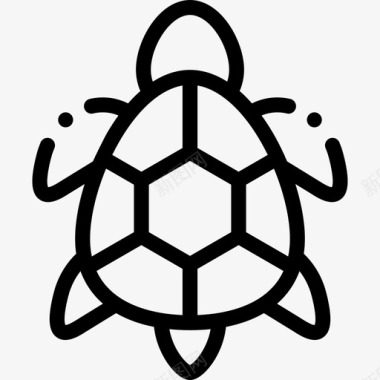 海龟热带47直纹图标图标