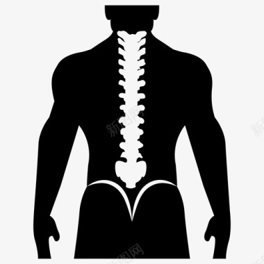 脊柱解剖学人体骨骼体格检查图标图标