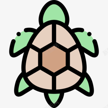 海龟热带46线形颜色图标图标