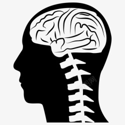 人体内脏医用挂脑解剖学脑结构检查图标高清图片