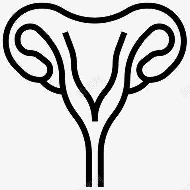 子宫人体解剖学1线性图标图标