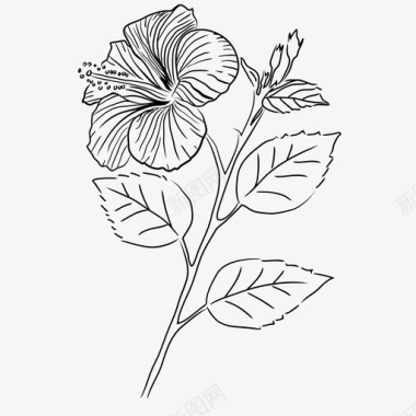 芙蓉植物花卉图标图标