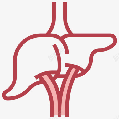 肝脏人体解剖学2其他图标图标