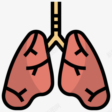 肺人体解剖学5线性颜色图标图标
