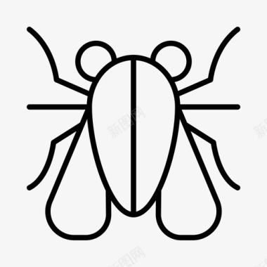 苍蝇虫子昆虫学图标图标