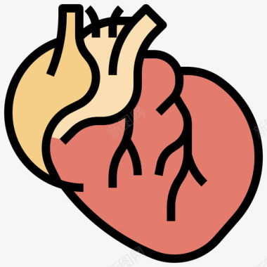 心脏人体解剖学5线性颜色图标图标