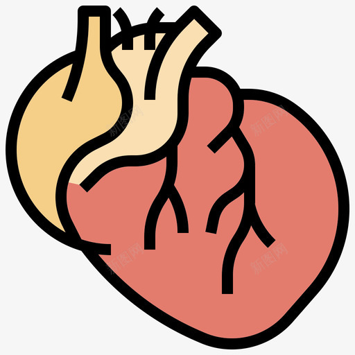 心脏人体解剖学5线性颜色图标svg_新图网 https://ixintu.com 人体 心脏 线性 解剖学 颜色