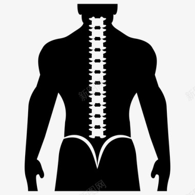 脊柱颈椎人体脊柱图标图标