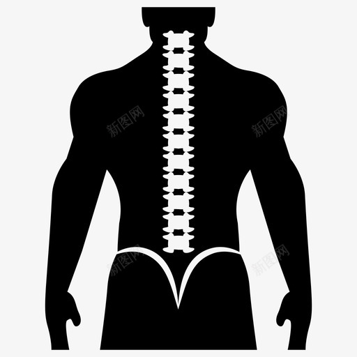 脊柱颈椎人体脊柱图标svg_新图网 https://ixintu.com 人体 假体 医用 植入物 系统 脊柱 脊髓 节段 颈椎 骨科 骨骼