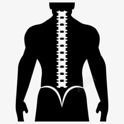 节段脊柱颈椎人体脊柱图标高清图片