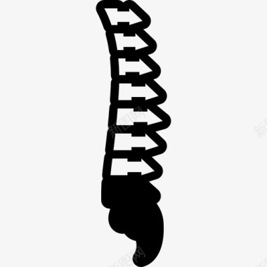 脊椎解剖学脊柱图标图标