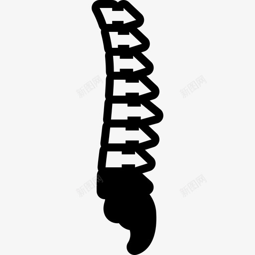 脊椎解剖学脊柱图标svg_新图网 https://ixintu.com 侧凸 康复 脊柱 脊椎 解剖学