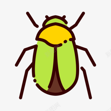 甲虫埃及64线形颜色图标图标