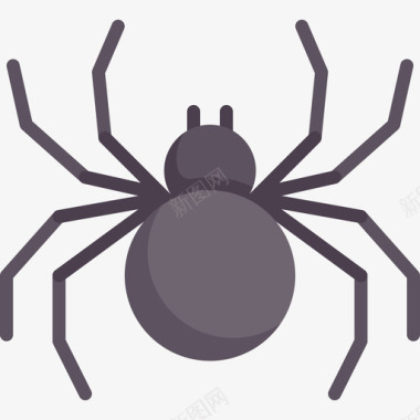 蜘蛛自然122扁平图标图标
