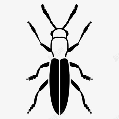 蜥蜴甲虫虫子昆虫图标图标