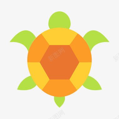 海龟热带51扁平图标图标