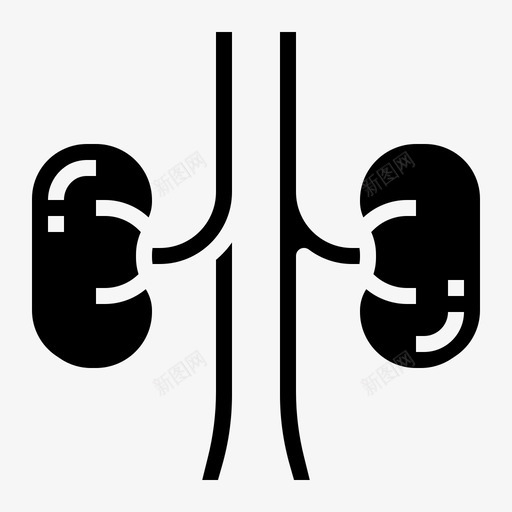 肾脏解剖学人类图标svg_新图网 https://ixintu.com 人类 医学 器官 固体 肾脏 解剖学