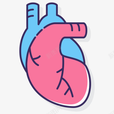 心脏解剖学11线性颜色图标图标