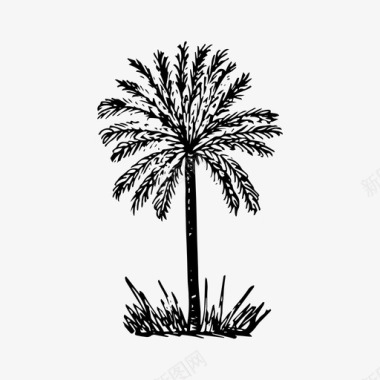 棕榈树自然夏季图标图标