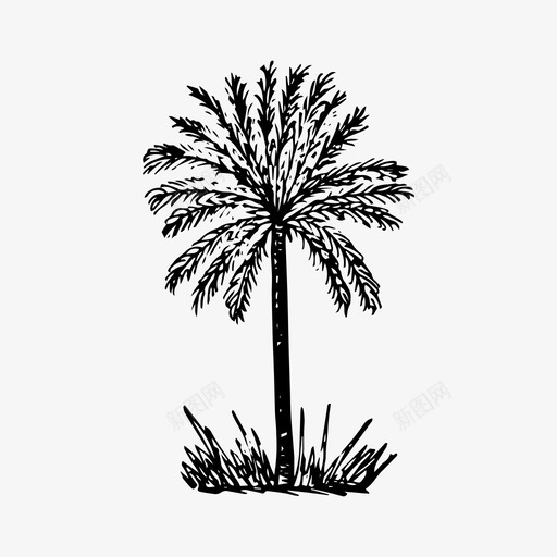 棕榈树自然夏季图标svg_新图网 https://ixintu.com 夏季 手绘 旅游 棕榈树 自然
