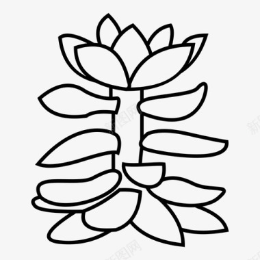 仙人掌装饰植物室内植物图标图标