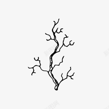 树枝手绘自然图标图标