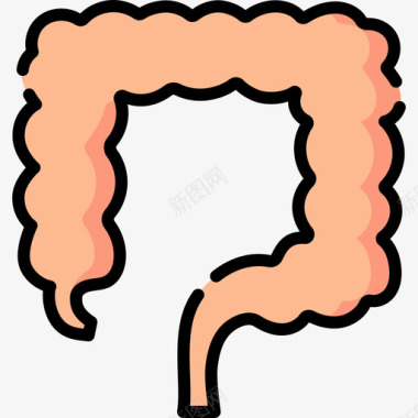 肠人体5线色图标图标
