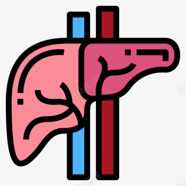 肝人体器官6线色图标图标