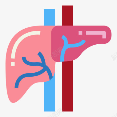 肝人体器官5扁平图标图标