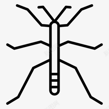 手杖虫子昆虫图标图标