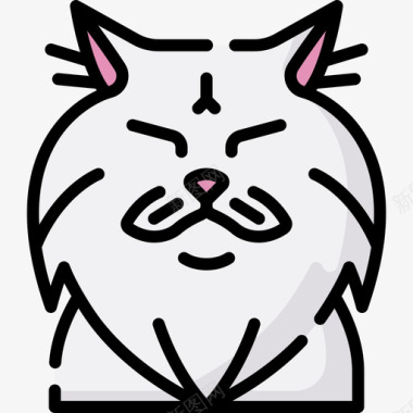 猫猫9线颜色图标图标