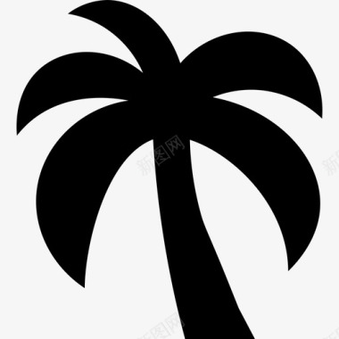 棕榈树植物学花园图标图标