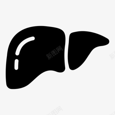 肝脏解剖学肝病学图标图标